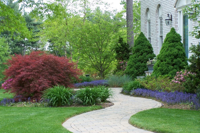 welcoming walkway with trees,shrubs,and colour