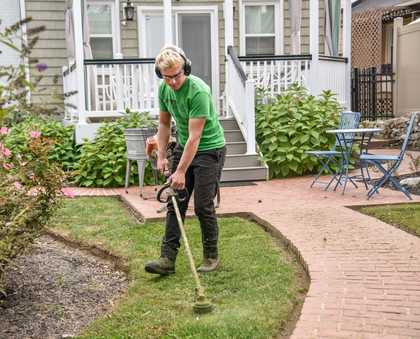 landscaping picture